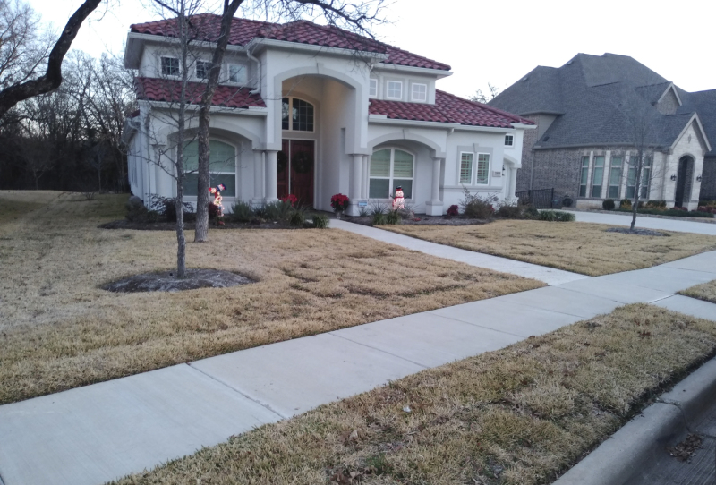 Sod-Replace-1