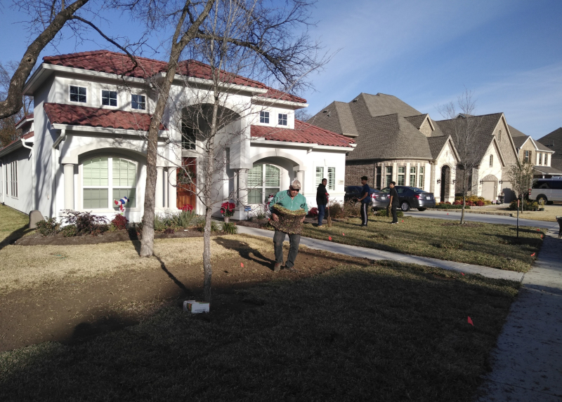 Sod-Replace-3