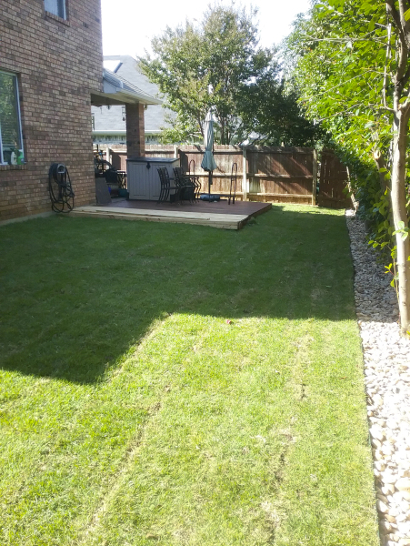 Sod-Replace-8