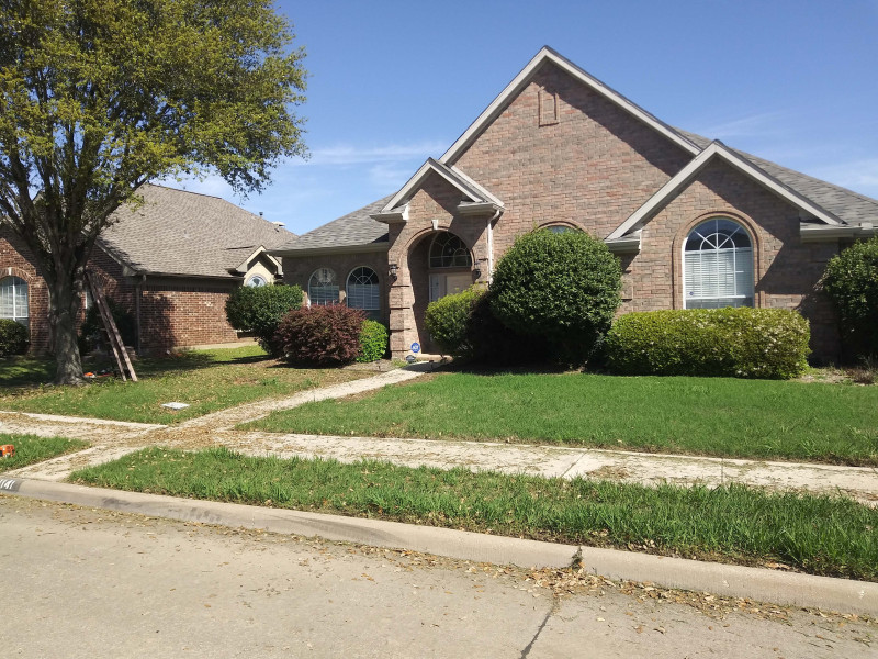 Tree-triming-bushes-and-install-River-rock-2