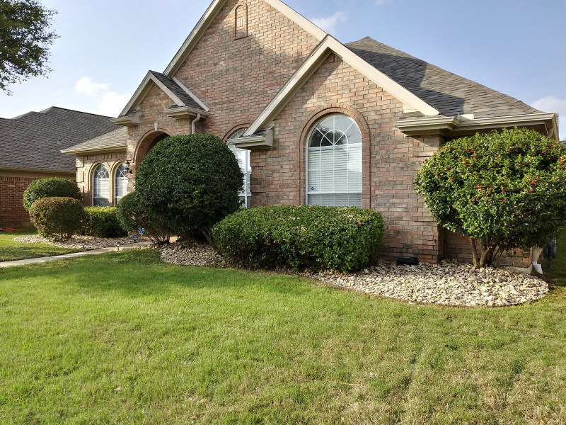 Tree-triming-bushes-and-install-River-rock-3