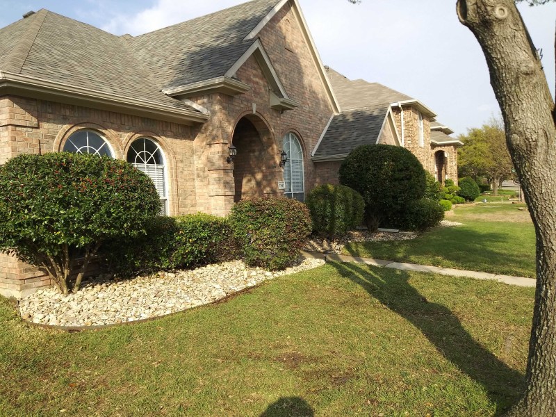 Tree-triming-bushes-and-install-River-rock-4