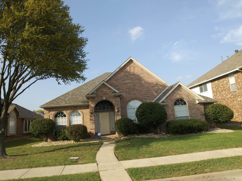 Tree-triming-bushes-and-install-River-rock-5